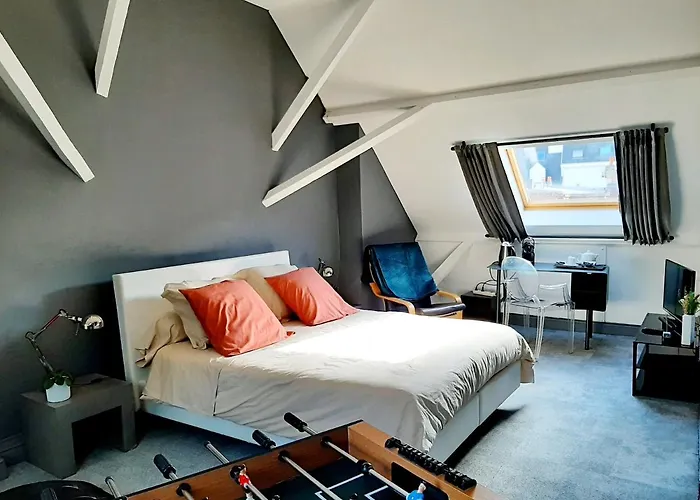 La Villa 30 Lille